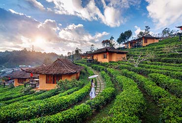 Monsoon Voyages Package