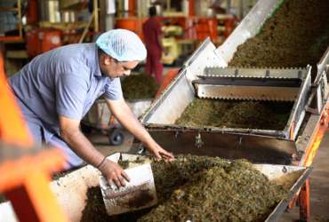 Old tea factory interior